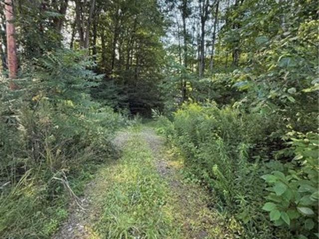 Land for sale in Cherry Creek, New York