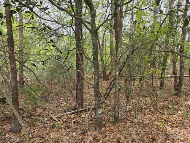 Land for sale in Bay Minette, Alabama