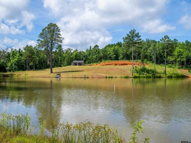 House for sale in Tyler