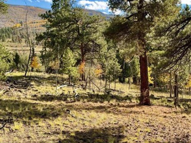 Land for sale in South Fork, Rio Grande County
