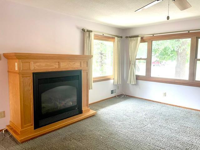 House for sale in Saint Paul Park, Minnesota