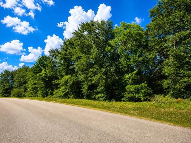 Land for sale in Willis, Texas