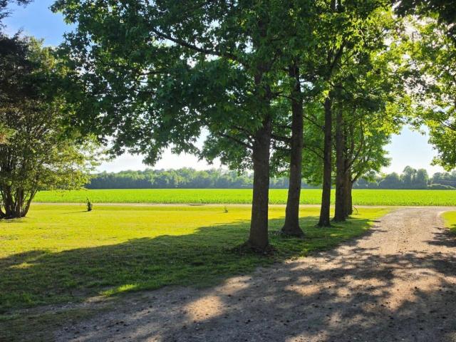 House for sale in Williamston, North Carolina