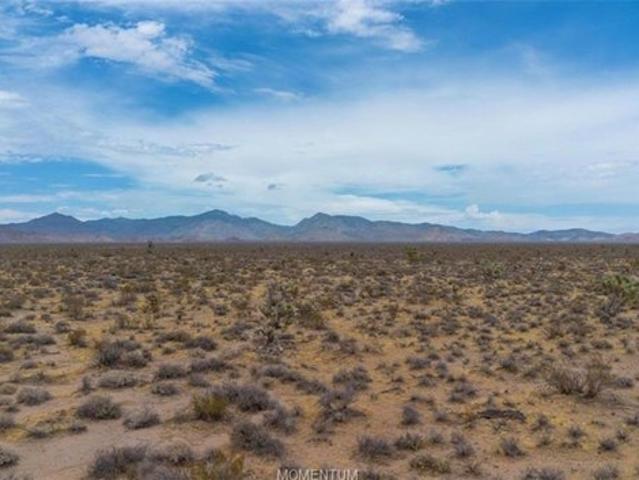 Land for sale in Yucca, Arizona