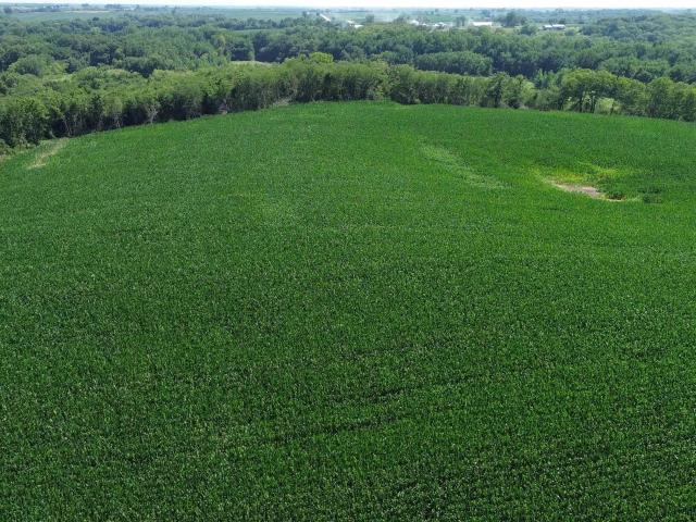 Farm for sale in Delta, Iowa