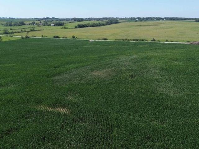 Farm for sale in Delta, Iowa