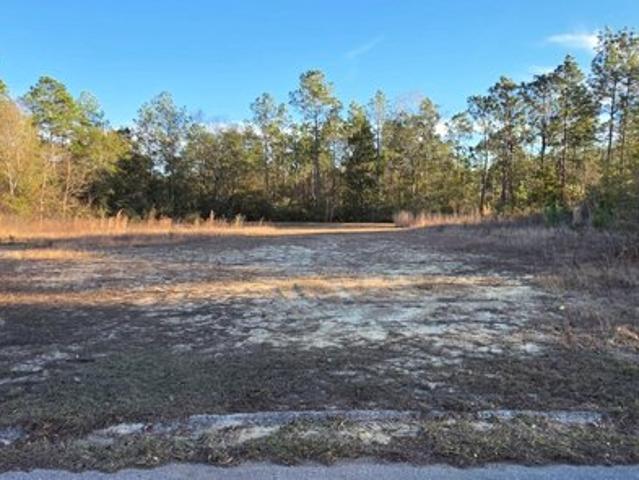 Land for sale in Crestview, Florida