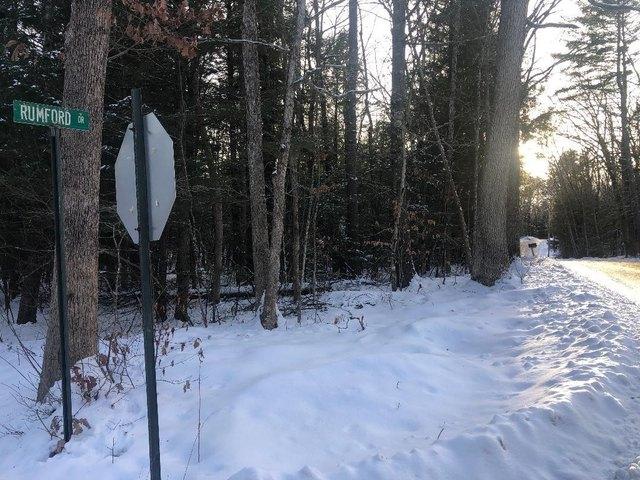 Land for sale in Webster, Merrimack County