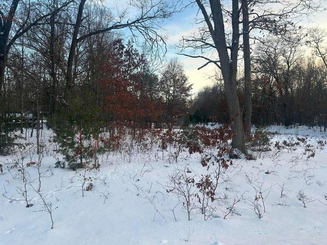 Land for sale in Houghton Lake, Michigan