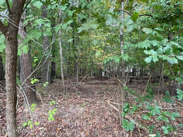Land for sale in Tennessee