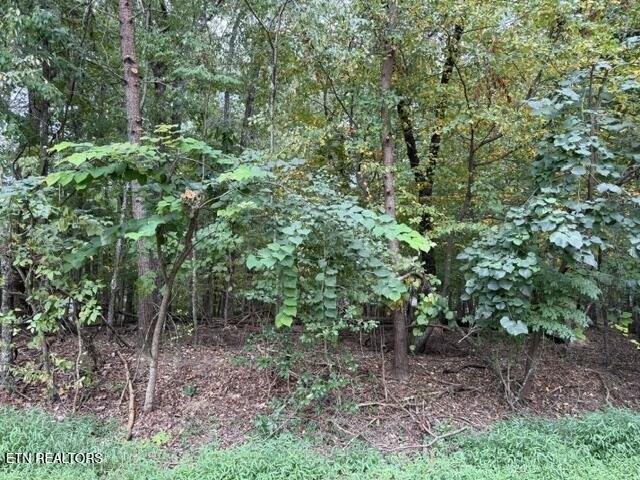 Land for sale in Tennessee