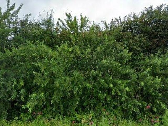 Lägenhet hyra i Ludvika, Dalarna