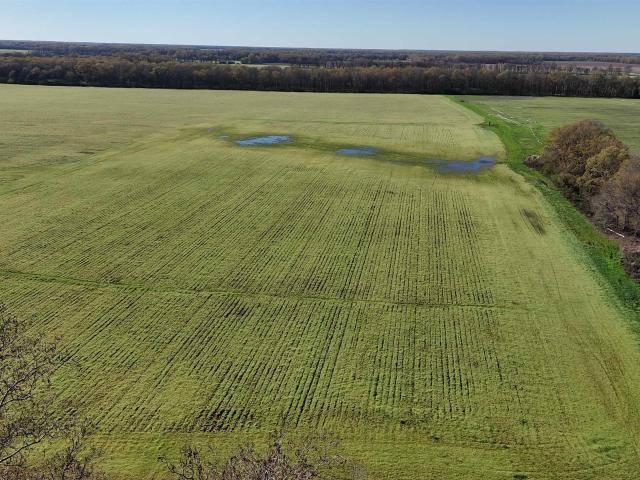 Land for sale in Ark