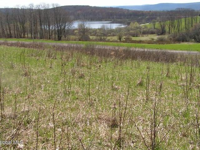 Land for sale in Schenevus, Town of Maryland