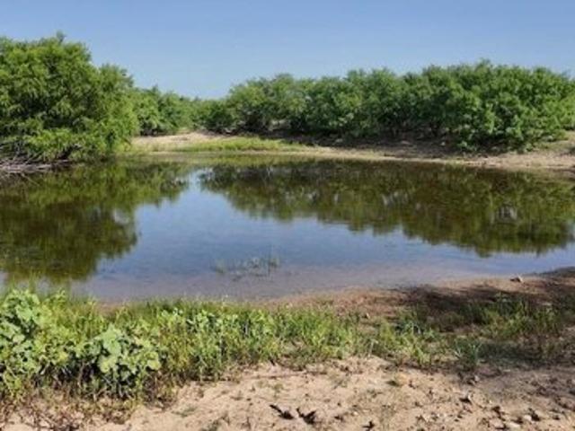 Farm for sale in Coleman, Texas
