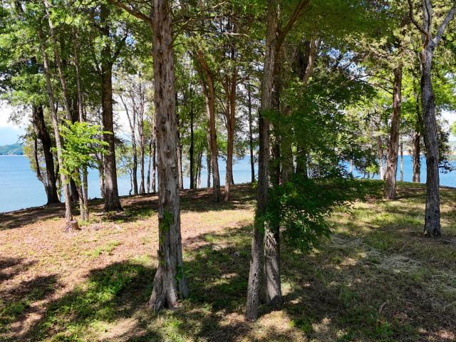 Land for sale in Tennessee