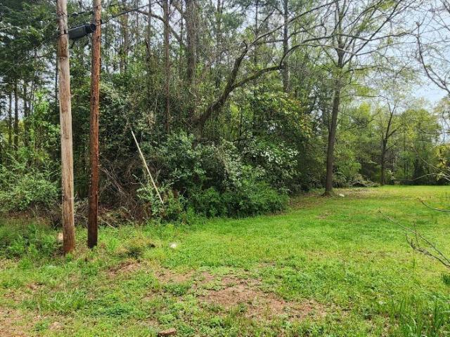 Land for sale in Rayle, Georgia