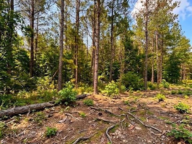 Land for sale in Broken Bow, Oklahoma