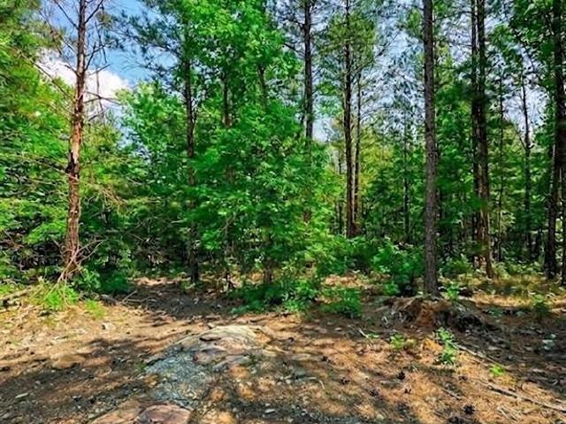 Land for sale in Broken Bow, Oklahoma