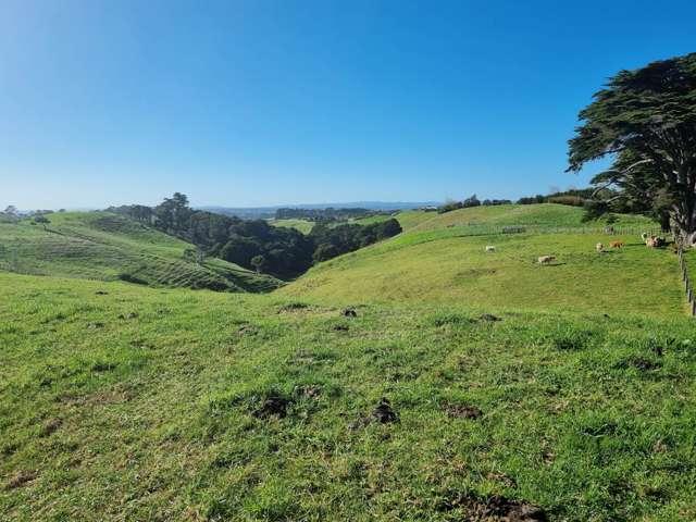 Property for sale in Waiuku