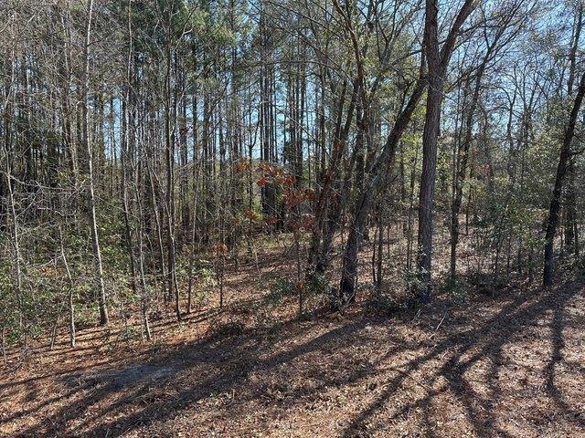 Land for sale in Red Springs, North Carolina