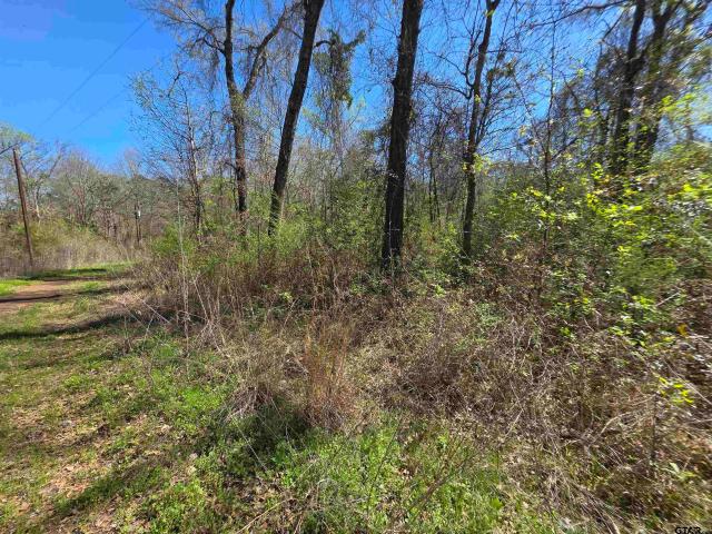 Land for sale in Bullard, Texas