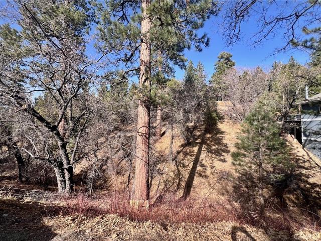 Land for sale in Big Bear City