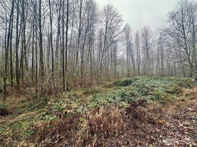 Land for sale in Glenoma, Washington