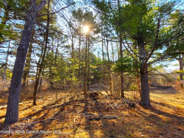Land for sale in Greenville, New York