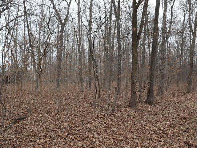 Land for sale in Monroeville, Ohio