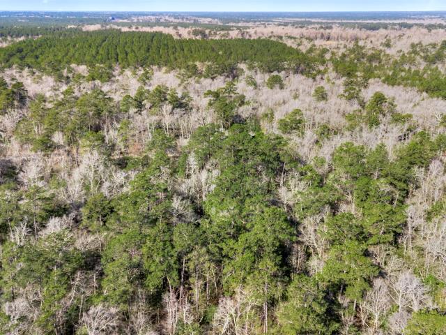Land for sale in Saratoga, Texas