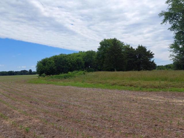 Land for sale in Ridgely