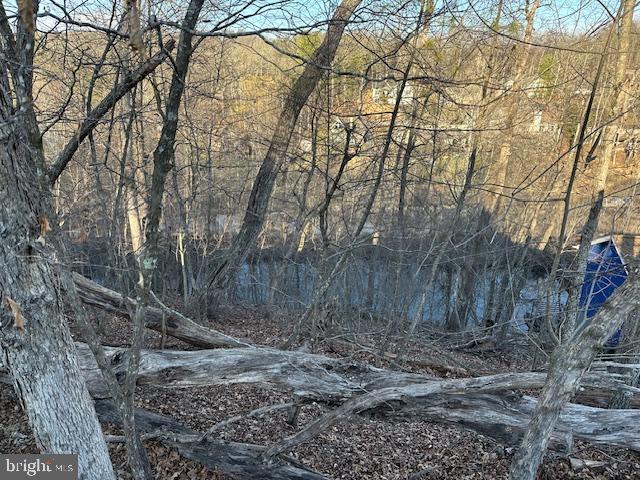 Land for sale in Virginia