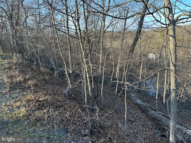 Land for sale in Virginia