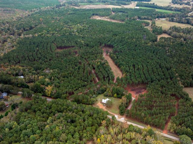 Land for sale in White Plains, Georgia