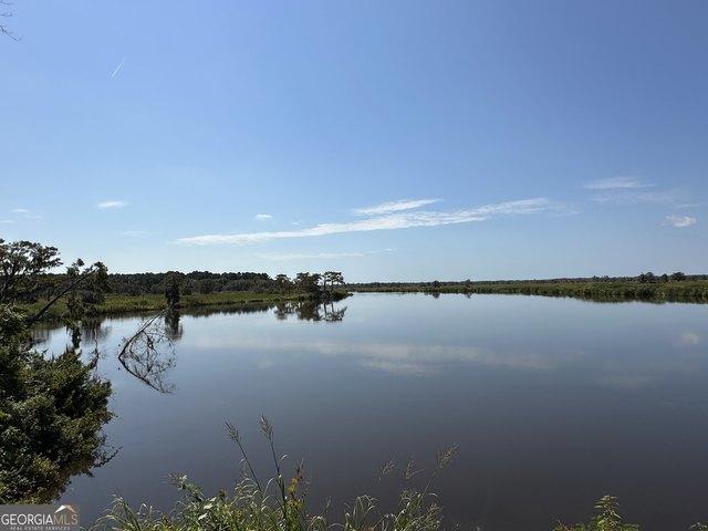 Land for sale in Darien, McIntosh County
