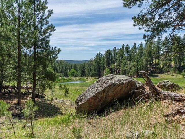 Land for sale in Custer, South Dakota