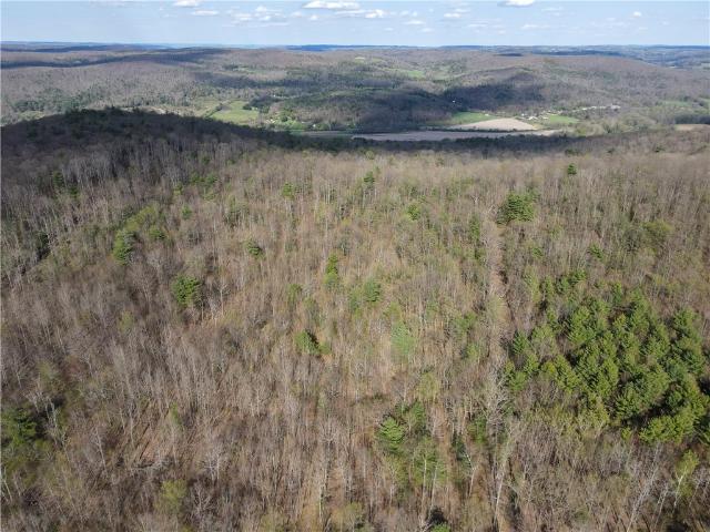 Land for sale in Lindley, New York