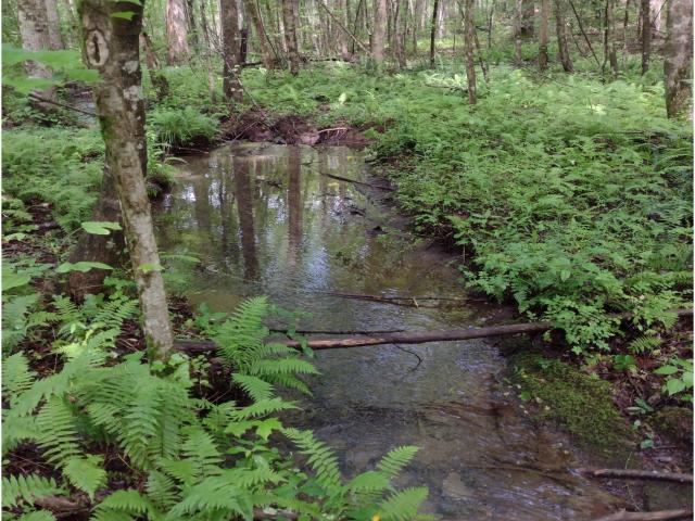 Land for sale in Tennessee