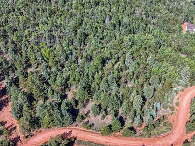 Land for sale in Teller, Colorado