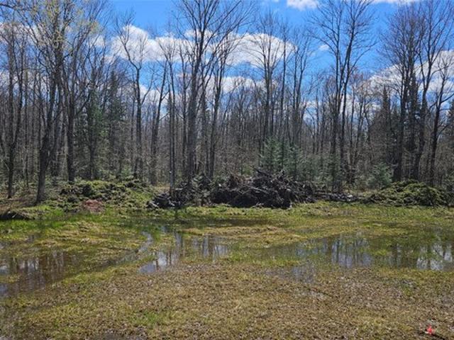 Land for sale in Sawyer, Wisconsin