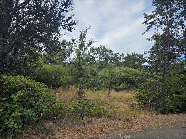Land for sale in Lakeport, Lake County
