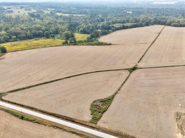Land for sale in Abbeville, Mississippi
