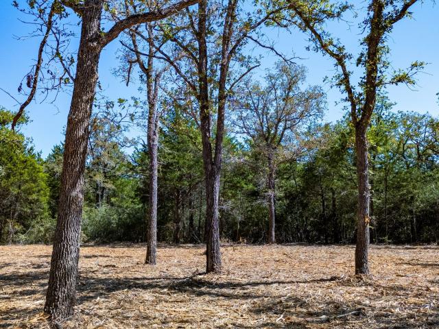Land for sale in Somerville, Texas