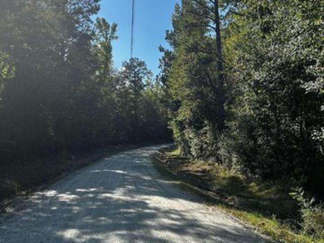 Land for sale in Palmetto, Fulton County