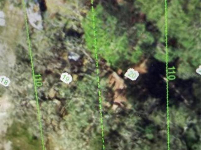 Land for sale in New Port Richey, Florida
