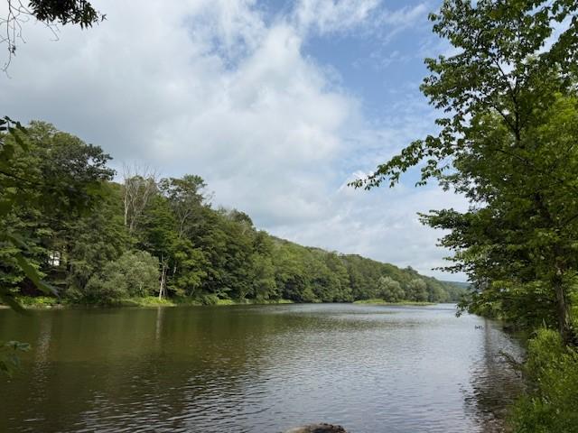 House for sale in Deposit, New York