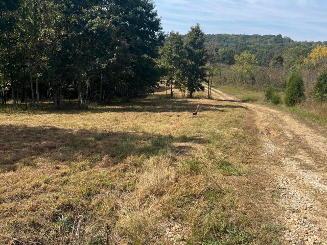 Land for sale in Grayson County, Kentucky