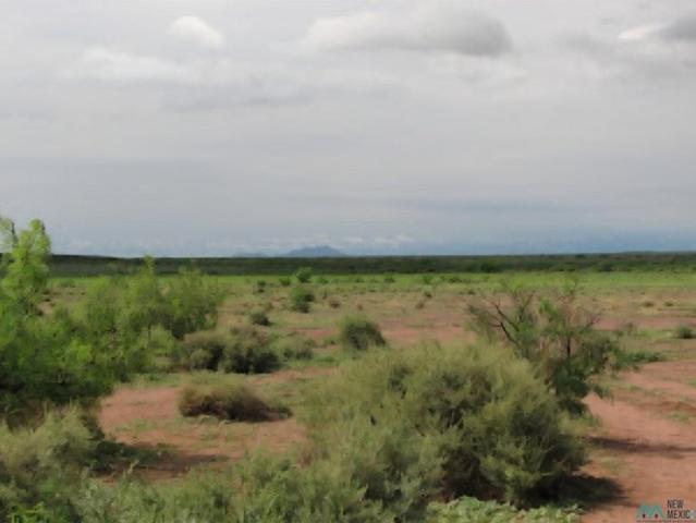 Land for sale in Luna, New Mexico