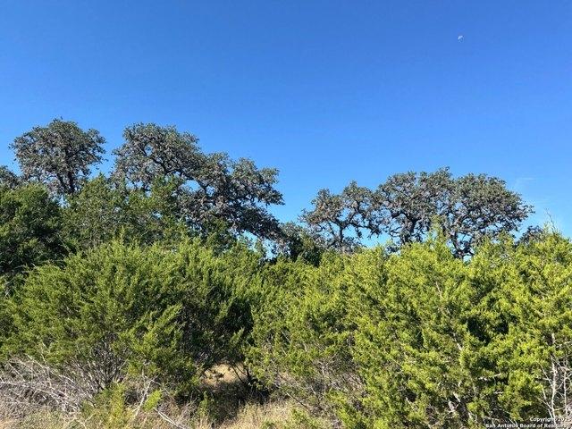 Farm for sale in Bandera, Texas